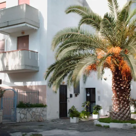 Specchi Del Sole
